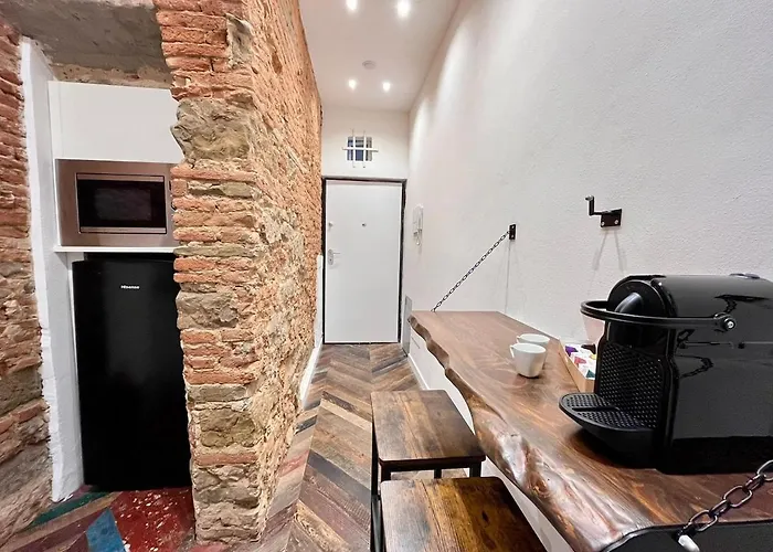 Lejlighed Tuscan Charm In San Frediano